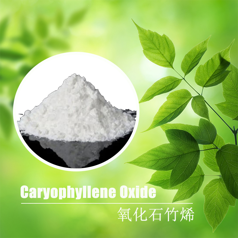 Caryophyllene Oxide Molecular Structure / Lab Grade Powder Caryophyllene Oxide Molecular Structure / Lab Grade Powder