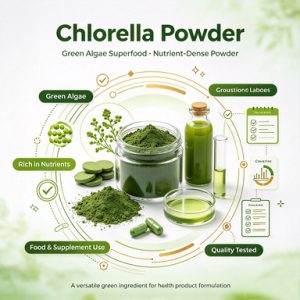 Bulk Chlorella Powder for Functional Food & Supplement Formulators