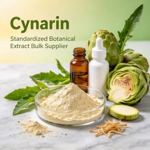 Cynarin | Standardized Botanical Extract Bulk Supplier