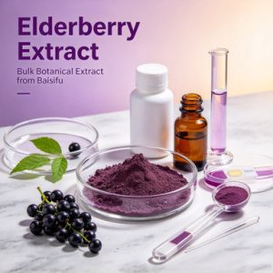 Elderberry Extract | Bulk Botanical Extract from Baisifu
