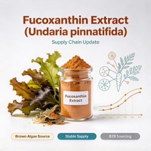 Fucoxanthin Extract (Undaria pinnatifida)