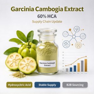 Garcinia Cambogia Extract (60% HCA)