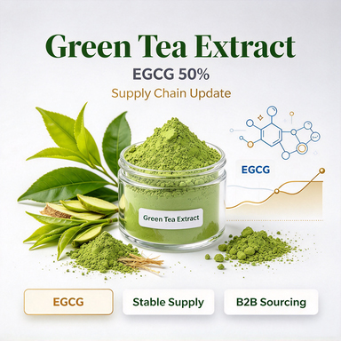 Green Tea Extract (EGCG 50%) | Bulk Botanical Antioxidant Powder