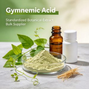 Gymnemic Acid | Standardized Botanical Extract Bulk Supplier