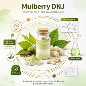 Bulk Mulberry DNJ Powder CAS 19130-96-2 for Formulators