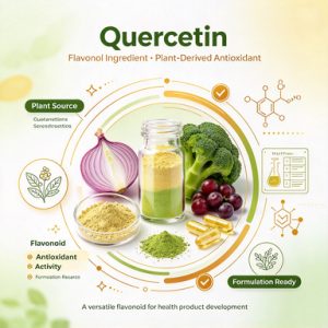 Bulk Quercetin Powder for Nutraceutical Formulators