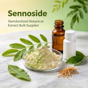 Sennoside | Standardized Botanical Extract Bulk Supplier