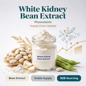 White Kidney Bean Extract (Phaseolamin) Bulk Botanical Enzyme Ingredient