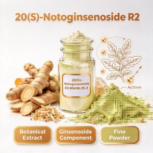 20(S)-Notoginsenoside R2 CAS 80418-25-3 | Bulk Panax Notoginseng Extract